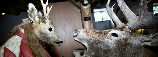 Jagt- og Skovbrugsmuseet fusionerer med Dansk Landbrugsmuseum